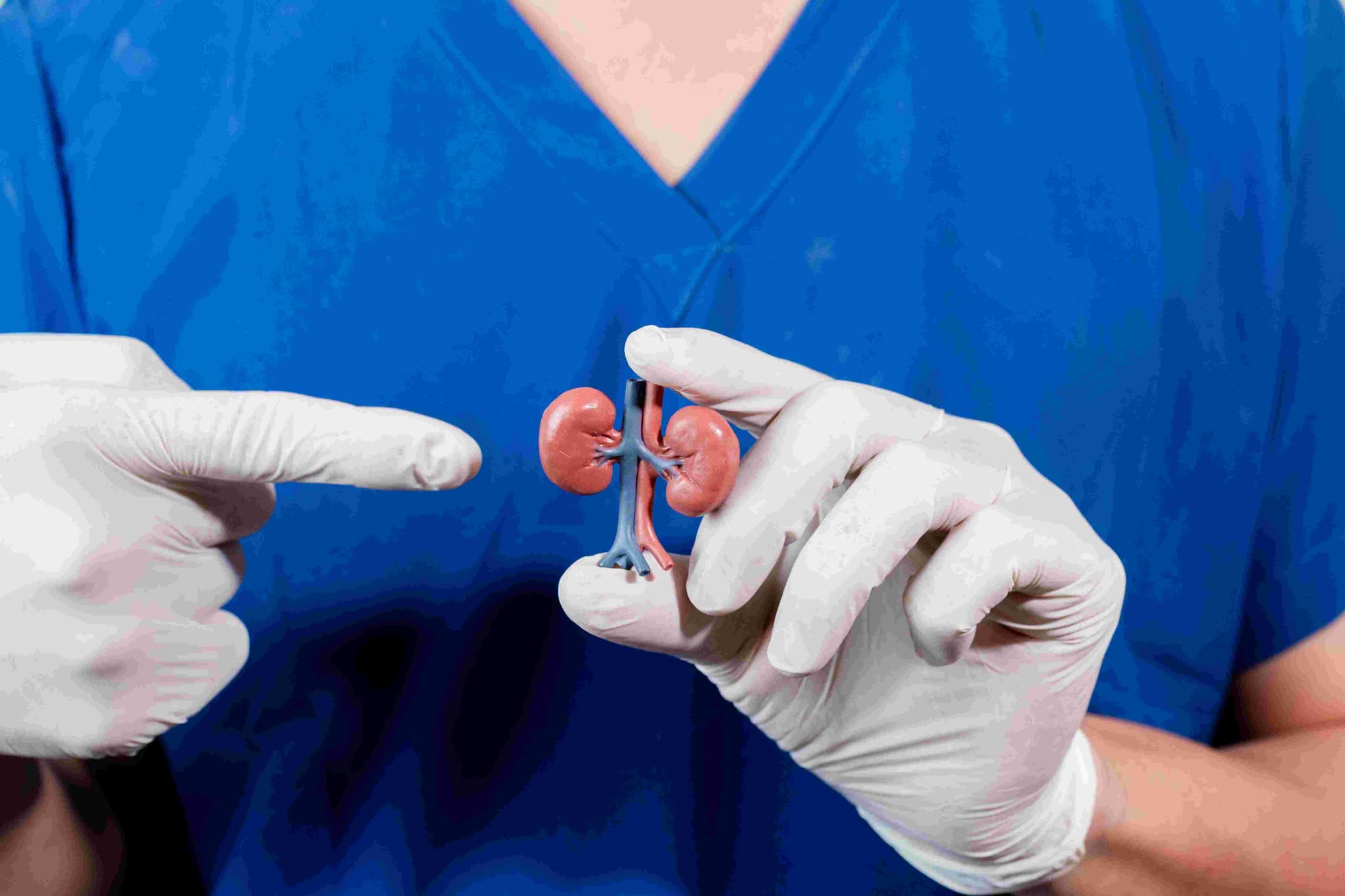 Partial Nephrectomy (Kidney-Saving Surgery) treatment