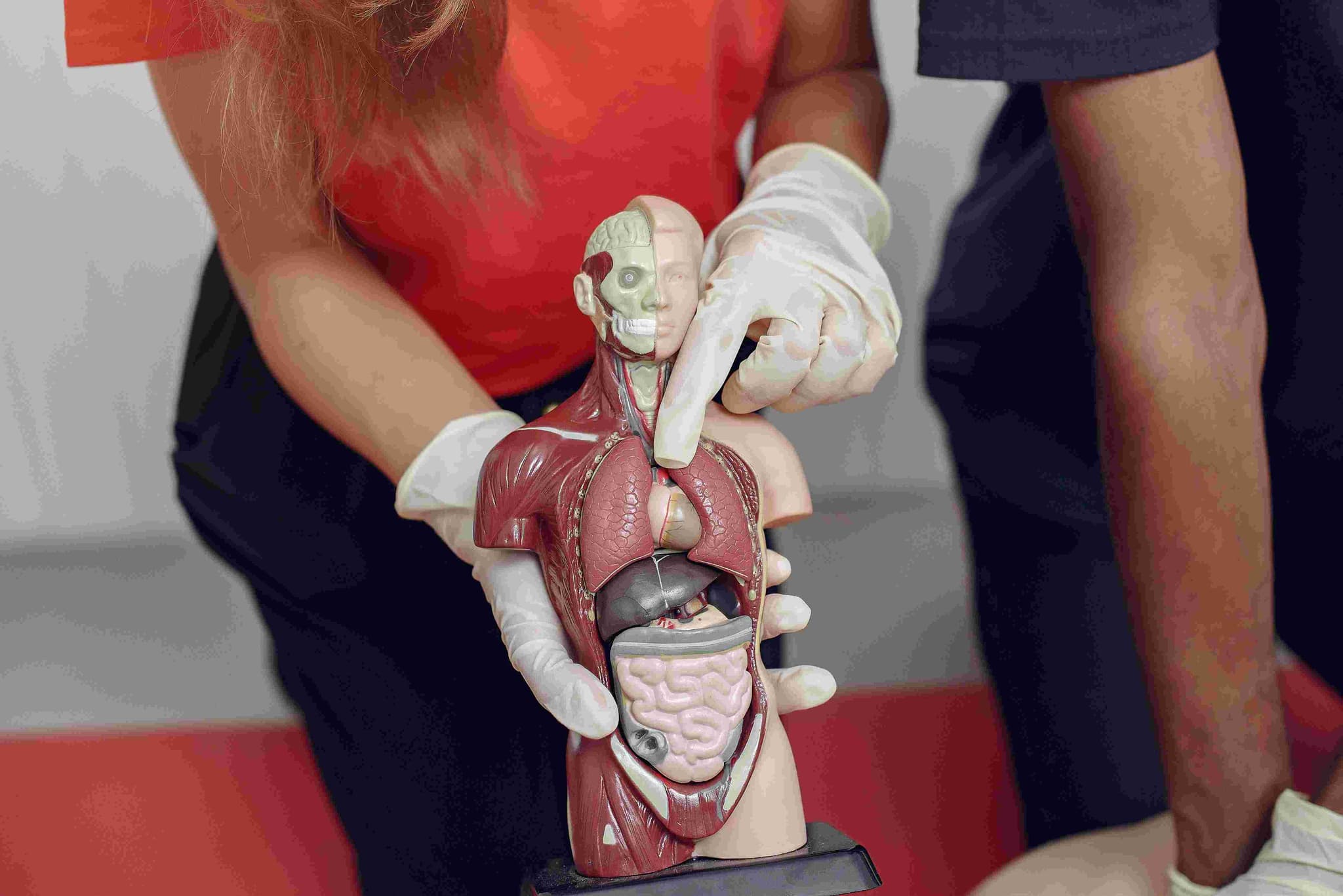 Thoracoabdominal Aneurysm Repair hospital