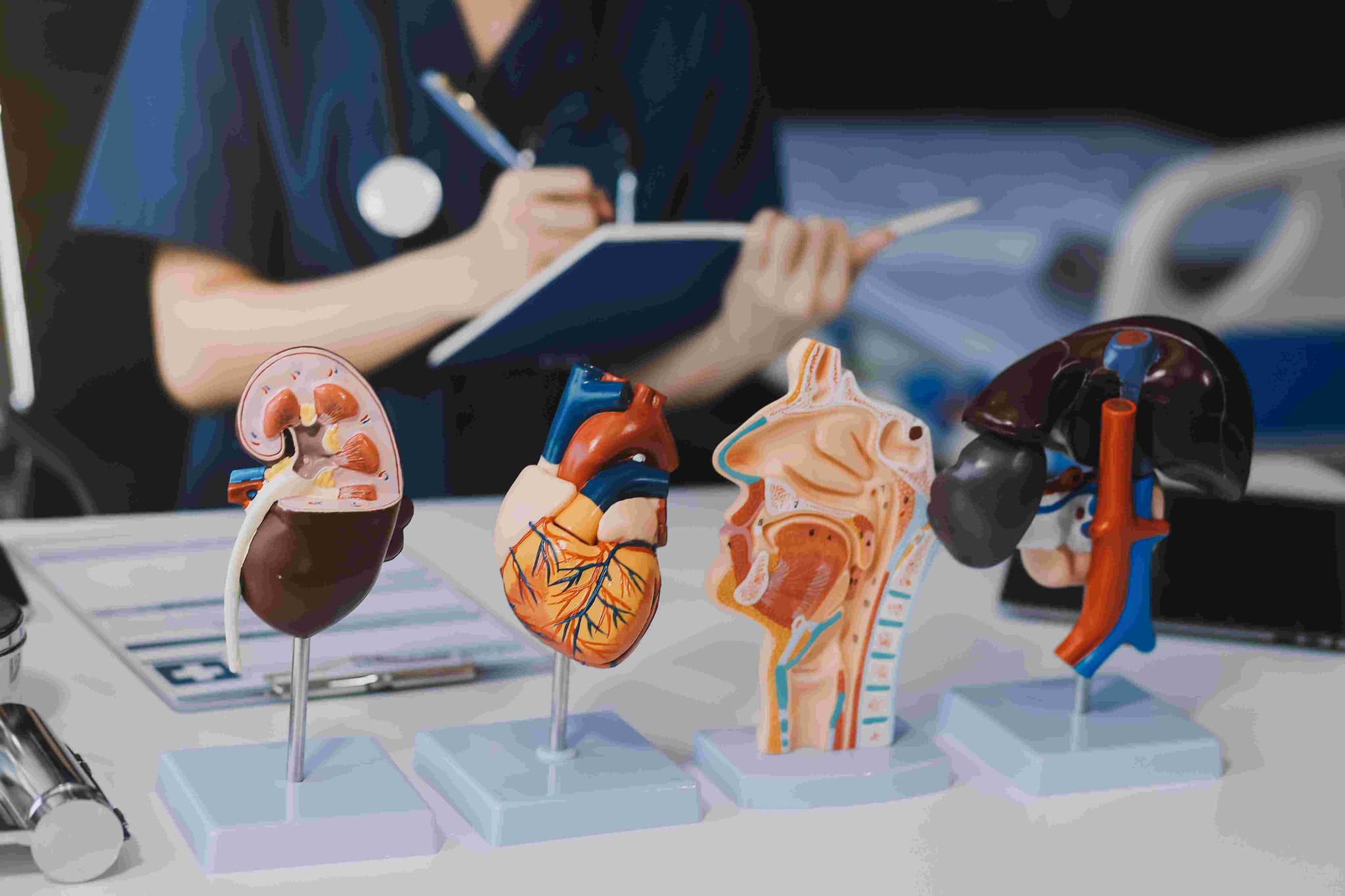 Organs & Tissue Transplant hospital