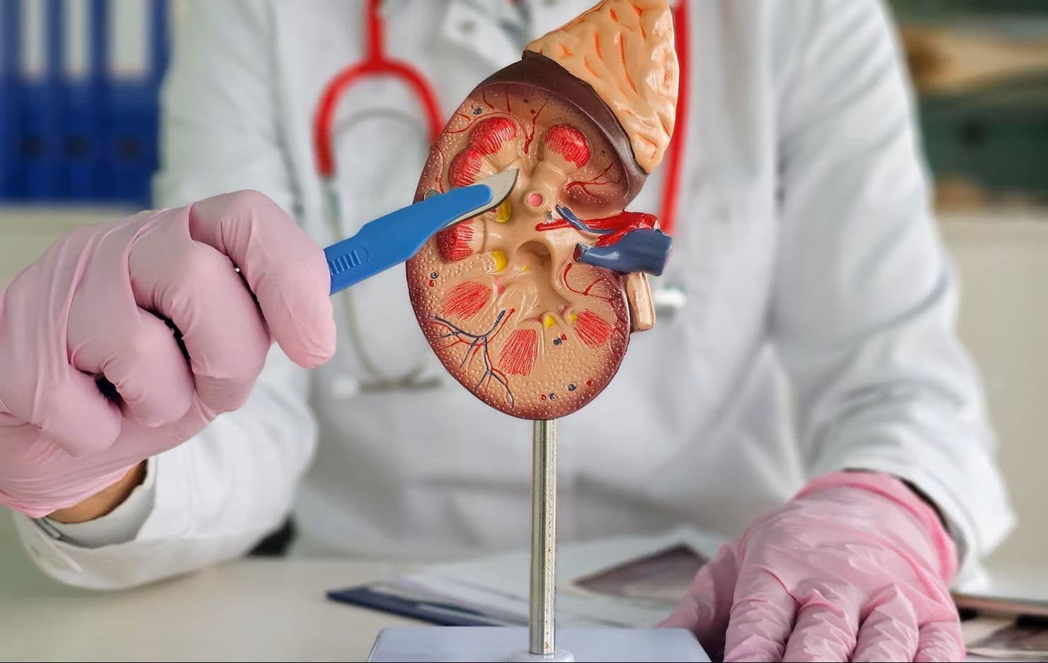 Percutaneous Needle Biopsies, FNAC And Catheter Drainages hospital