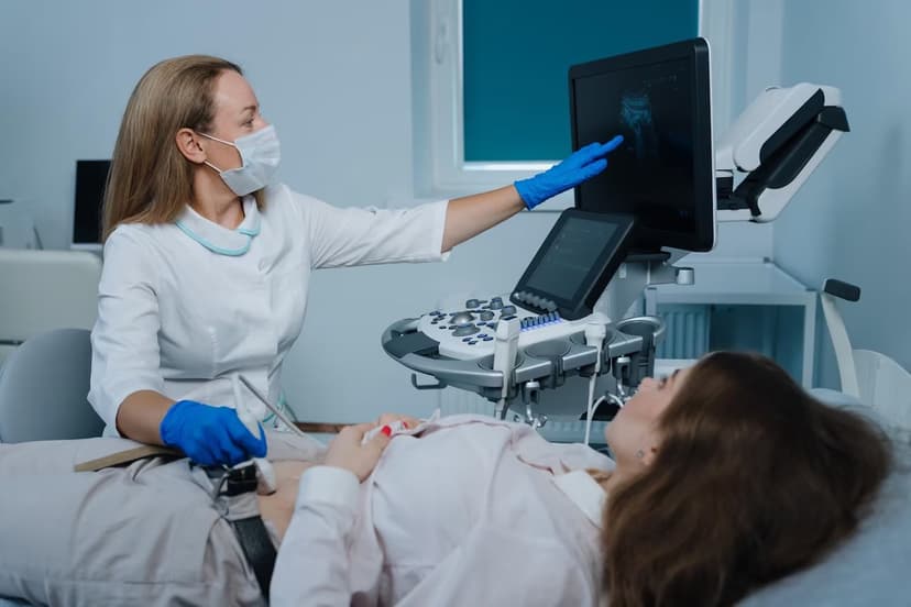 FibroScan (Transient Elastography)